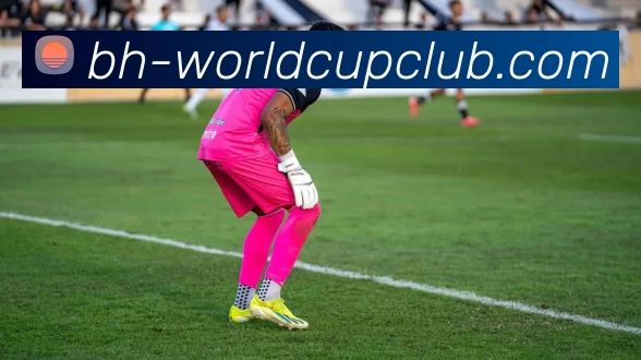 世界杯APP下载APP 封面图